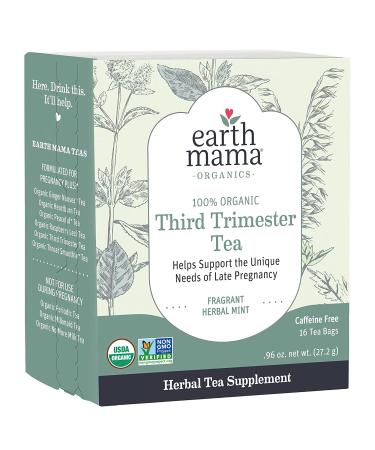Earth Mama Organic Third Trimester Tea Bags - Mint, 16-Count (3-Pack) | Pregnancy Comfort & Childbirth Prep - Buy Online on GoSupps.com