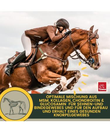 Buy Emma MSM Horse Joint Liquid 1L - High-Dose MSM Glucosamine & Chondroitin for Healthy Joints & Movement | International Shipping Available - Buy Online on GoSupps.com