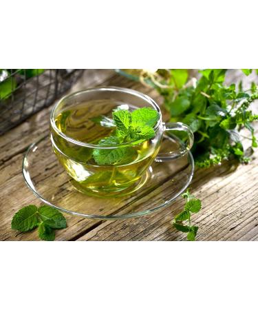 Buy Me mer Organic Fennel Tea | Soothing & Vegan | 18 Gluten-free Bags | International Shipping - Buy Online on GoSupps.com