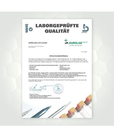  Syglabs Nutrition Syglabs Magnesium Citrate Powder Trimagnesium Citrate 500 g No fillers or additives Vegan Citrate - Buy Online on GoSupps.com