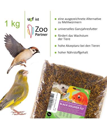 UGF Soldier Fly Larvae (1 kg) - Superior to Dried Mealworms 85x Calcium Boost for Wild Birds Turtles & More - Buy Online on GoSupps.com