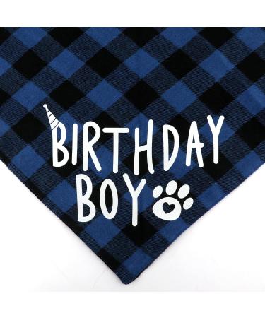 Blue Cat Birthday Party Supplies Cut Cat Birthday Supplies with Cat Birthday Hat Tie Birthday Number Cat Birthday Banner Balloons Beautiful Cat Themed Birthday Party for Cat Birthday Party Dec - Buy Online on GoSupps.com