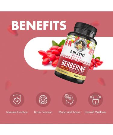 Berberine & Resveratrol Supplement Bundle with Organic Ceylon Cinnamon Green Tea Grape Seed Extract & Antioxidants Plant-Based Daily Wellness Support 2 Capsules per Serving - Buy Online on GoSupps.com