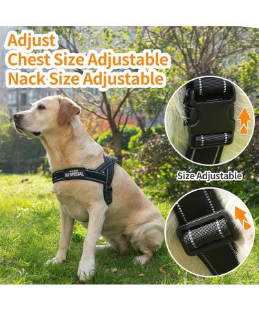 Eeyfarog No Pull Dog Harness for Small & Medium Dogs - Reflective Adjustable Safe Black - Ideal for Comfort & Control - Buy Online on GoSupps.com