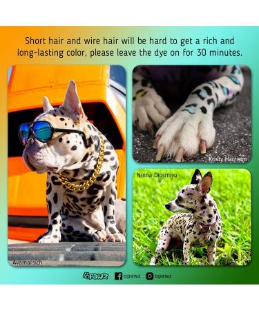 Opawz Permanent Pet Hair Color - Professional & Safe Dye for Dogs & Horses | Super Black Lasts 20+ Washes - Buy Online on GoSupps.com