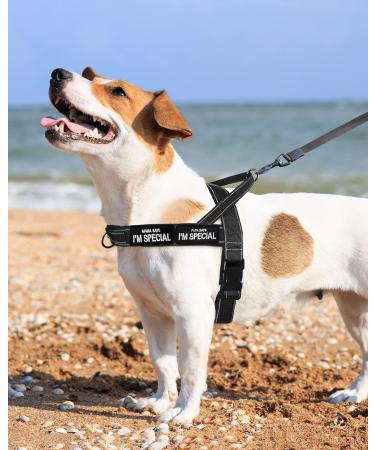Eeyfarog No Pull Dog Harness for Small & Medium Dogs - Reflective Adjustable Safe Black - Ideal for Comfort & Control - Buy Online on GoSupps.com
