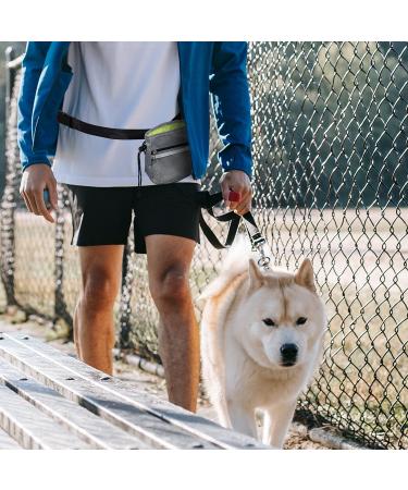 Reopet Waterproof Dog Treat Pouch Bag | Multiple Pockets & Built-in Poo Bag Dispenser | Hands-Free and Adjustable Belt | Ideal for Walking and Outdoors | Grey/Black - Buy Online on GoSupps.com