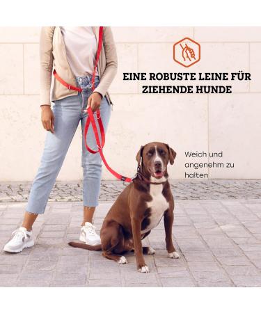 Vitazoo 3m Nylon Dog Leash - Adjustable Guide Lines with Carabiners for All Dog Sizes - Graphite & Red - Buy Online on GoSupps.com