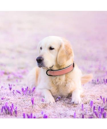 Didog Soft Padded Leather Dog Collar - Adjustable & Durable for Small to Large Dogs - Pink (27-33 cm) - Buy Online on GoSupps.com