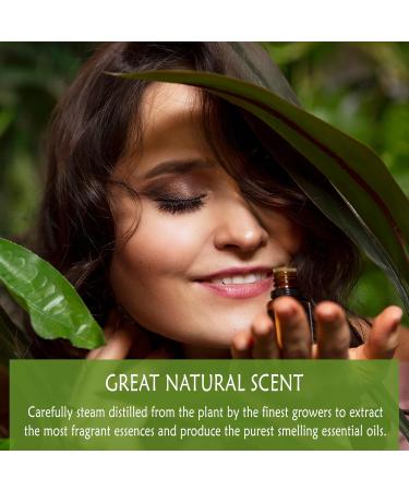 100% Pure Thyme Thymol Essential Oil - Natural Anti-Infectious Oil for Diffusers & Massage Therapy - Rosemary Creek (10 ml - Buy Online on GoSupps.com