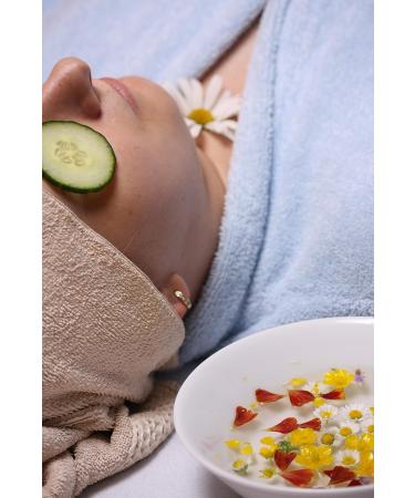 Dr. Spiller Q10 Oxygen Complex 24 Hour Face Cream Energy Supply for Tired & Stressed Skin Wrinkles Smoothing Hyaluronic Acid Q10 Aloe Vera Leaf Juice - Buy Online on GoSupps.com