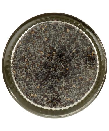 365 by Whole Foods Market  Poppy Seed  2.01 Ounce - Buy Online on GoSupps.com