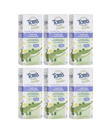 Tom's of Maine Toddlers Fluoride-Free Natural Toothpaste in Mild Fruit Gel, 1.75 Ounce (Pack of 6)