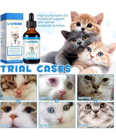 Lysine for Cats Natural L-Lysine Supplement Supports Immune Health, Respiratory Function, Skin Care and Bright Eyes Cat Antibiotic Drops for All Ages and Breeds Chicken Flavour, 2 Fl Oz / 60ml - Buy Online on GoSupps.com