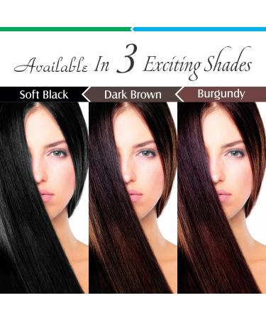 Buy Certified Organic Dark Brown Hair Color - Chemical & Allergy Free No Ammonia 100gm Pack of 2 for Men & Women - Vegetal Safe Bio Natural Hair Dye - Buy Online on GoSupps.com