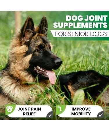 Turmeric for Dogs | Joint Pain Relief & Anti-Inflammatory Supplement | Senior Dog Joint Care with Curcumin & Black Pepper | 120 Capsules - Buy Online on GoSupps.com