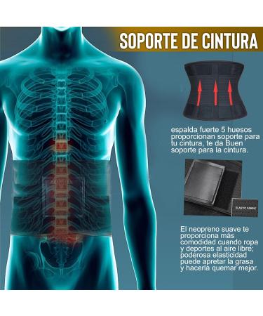 Ergonomic Kidney Belt for Men & Women | Lumbar Support for Back Pain Relief | Ideal for Sports & Gym Activities - Buy Online on GoSupps.com