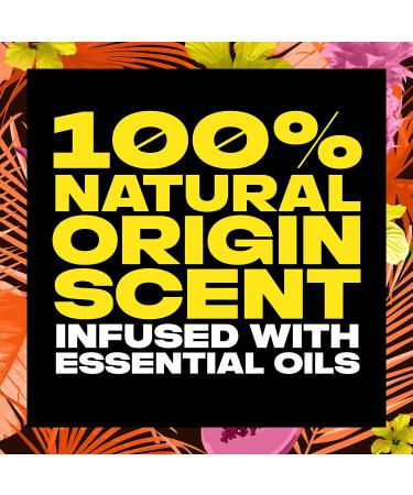AXE Hawaiian Vibe Men's Aluminum-Free Deodorant Stick 2.6 oz, 4-Pack - 100% Natural Scent & Essential Oils - Buy Online on GoSupps.com