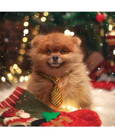 Segarty Dog Neck Ties 30 PCS - Adjustable Collar, Double Layered Bow Ties for Small Dogs & Cats - Bulk Grooming Bows for Holiday, Wedding, Photography - Christmas Theme Patterns - Buy Online on GoSupps.com