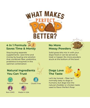 Perfect Poop Digestion Supplement for Dogs - Fiber, Prebiotics, Probiotics, Enzymes - Improve Digestive Health & Stool Quality - Cheddar Cheese Flavored - 12.8 oz - Buy Online on GoSupps.com