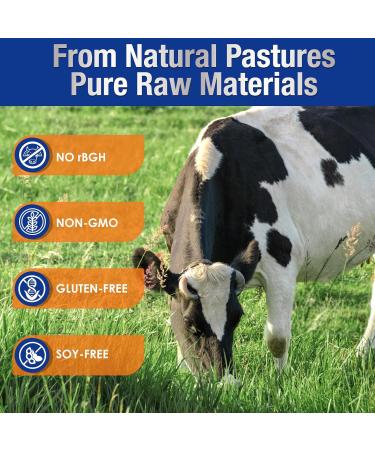 DRFOSTER Whey Protein Powder Unflavored 100% Whey Isolate 26G Protein 6G BCAAs rBGH Free Enhances Muscle Growth & Repair 1.1LB 16 Servings 1.1 Pound (Pack of 1) - Buy Online on GoSupps.com