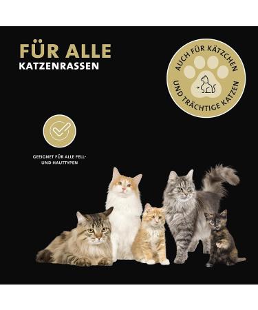 Peticare Cat Care Shampoo Effective Itch Relief Mites & Flea Treatment Deodorizes Fur Maintains Healthy Skin 500ml - Buy Online on GoSupps.com