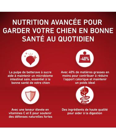 PURINA ONE Medium/Maxi 10kg | Weight Control Sterilized Dogs | Rich in Turkey Dry Food for Dogs | Adults | 2.5 Kg Bag - Buy Online on GoSupps.com