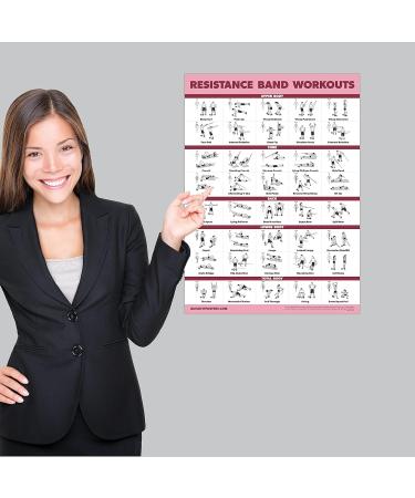 Resistance Bands & Loops Workout Posters 2 Pack - Laminated Exercise Charts - Light 18x24 - Buy Online on GoSupps.com