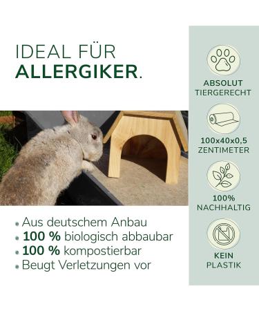 Natural Hemp Rodent Mat 100x40cm | Eco-Friendly Floor Cover for Rabbits Hamsters & Small Animals | Perfect for Cages & Stalls - Buy Online on GoSupps.com