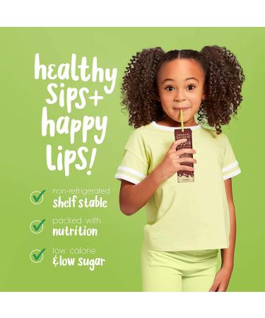 Ripple 8oz Non-Dairy Milk Chocolate (Pack of 12)  Vegan Milk With 8g Pea Protein in Shelf Stable Single Serve Cartons  Great for Kids Lunchboxes On-The-Go  Non GMO Plant Based Gluten Free - Buy Online on GoSupps.com