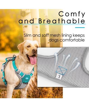 Thinkpet Anti-Zug Dog Harness - Adjustable Breathable Reflective Dog Harness with Handle - No Choking Design - Bright Blue-Green (M) - 1 Pack | International Shipping Available - Buy Online on GoSupps.com