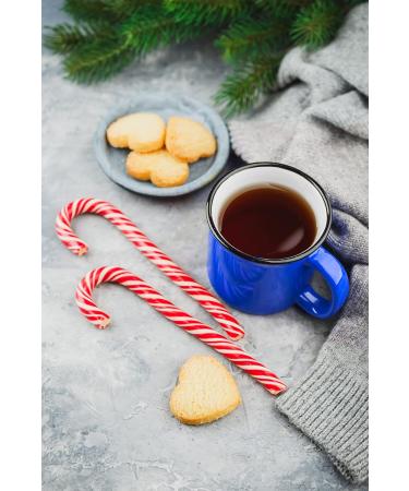 English Tea Shop Organic Premium Holiday Collection North Star Blue Gift Tin 36 Tea Bag Sachets - 6 Different Flavours - Buy Online on GoSupps.com