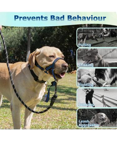 Shop Stylish Barkless Muzzle Bleine - No Pulling Halter for Medium & Large Aggressive Dogs | Gentle Dog Harness S Blue - Buy Online on GoSupps.com