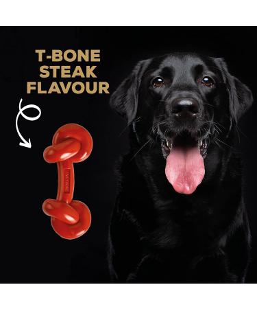 Rosewood 57042 TastyBone Extra Robust Knotted T-Bone Dog Toy - Durable Nylon Beef Flavor for All Dogs - International Shipping Available - Buy Online on GoSupps.com