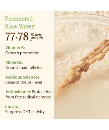 Rice Water Shampoo for Hair Growth & Thinning - Biotin & Rosemary Infused | Thickening Formula for Men & Women | Organic & Color Safe - Buy Online on GoSupps.com