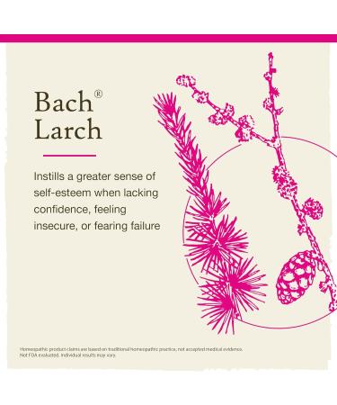 Bach Original Flower Remedies Larch - Natural Homeopathic Essence for Confidence Stress Relief & Holistic Wellness Vegan 10mL Dropper - Buy Online on GoSupps.com
