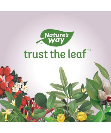 Nature's Way Chlorofresh Softgels - 90 Count | Natural Chlorophyll Supplement - Buy Online on GoSupps.com
