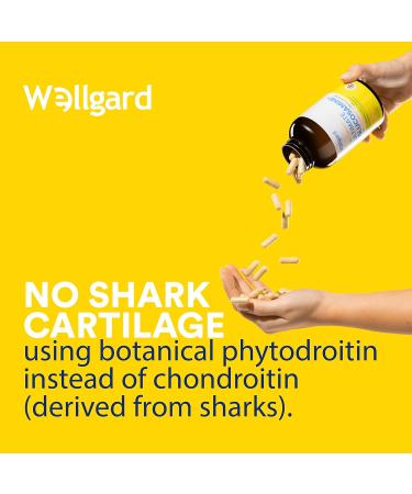 Vegan Glucosamine Phytodroitin by Wellgard - Plant-Based Joint Support Supplement with Quercetin, MSM, and Ginger Extract - Made in UK - Buy Online on GoSupps.com