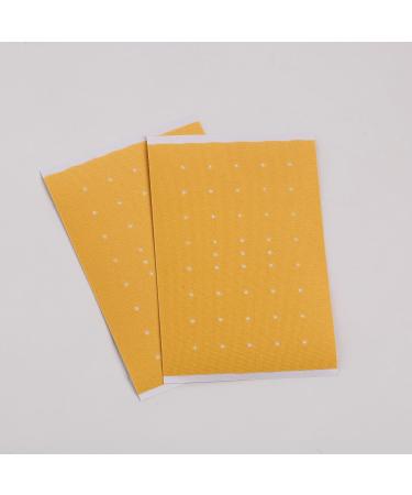 iFory 20 Pcs Capsaicin & Ginger Patches | Capsicum Patch 3.94x2.76 Inch | Pain Relief Patch 10 Bags x 20 Count - Buy Online on GoSupps.com