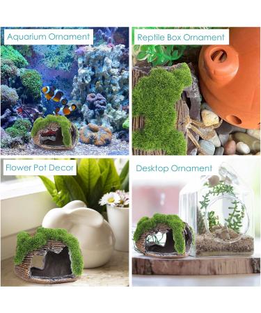Shop Aquarium Decoration - Realistic Moos Deko Resin Cave Ornament for Fish & Shrimp | 3.34 x 2.55 x 2.75 inches - B-green - Buy Online on GoSupps.com