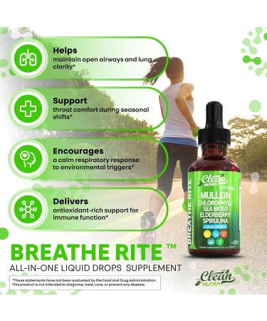 Organic Mullein Liquid Drops With Chlorophyll for Lung Detox Plus Irish Sea Moss Spirulina Licorice Tart Cherry Lobelia Motherwort And Elderberry For Men Women Health Supplement Vitamin (2) - Buy Online on GoSupps.com