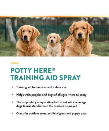 NaturVet Potty Here Training Aid Spray - 8 oz - Indoor & Outdoor Use - Train Puppies & Dogs Where to Potty - Buy Online on GoSupps.com