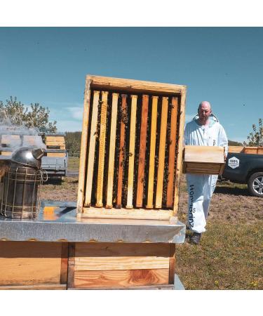 Buy Propolis Syrup with Honey Sage & Echinacea - Natural Health Boost (2 x 200ml) - International Shipping Available - Buy Online on GoSupps.com