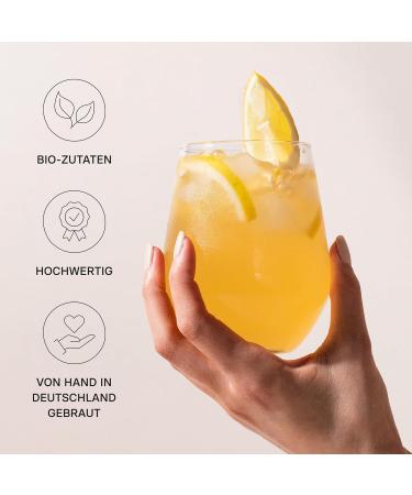 Buy Roy Cucumber & Mint Kombucha Bio - Organic Vegan Gluten-Free | 6 Pack 330ml | Handmade in Berlin - Buy Online on GoSupps.com