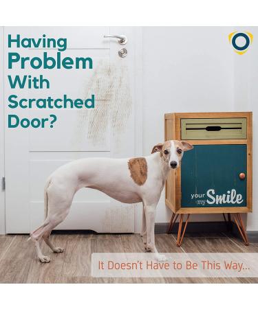 PROTECTO Heavy Duty Door Protector - Anti-Scratch Guard for Furniture, Windows, Walls - Durable Cat & Dog Paw Shield (30 x 20) - Buy Online on GoSupps.com