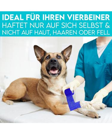 Hund ist K nig Self-Adhesive Elastic Bandage 12x4.7m - Versatile Adhesive Bandage for Humans & Animals | 12 Rolls (5cm x 4.7m) - Blue - Buy Online on GoSupps.com