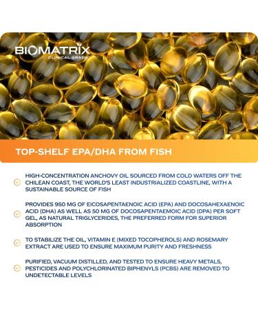 Support Omega EPA DHA Omega 3 Fish Oil Supplement - Cardiovascular, Musculoskeletal Support (120 Gel Capsules) - Buy Online on GoSupps.com