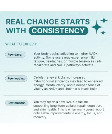 DAYLY Liposomal NAD+ Supplement Nicotinamide Riboside with Urolithin A Resveratrol & CoQ10 NAD Plus Formula for Men & Women Energy Cellular Repair & Anti-Aging Support 30 Days 60 Count (Pack of 1) - Buy Online on GoSupps.com