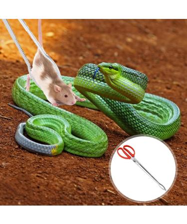 Reptile Feeding Tongs - 15 Inches Anti-Skid Feeding Tongs Steel Reptile Feeding Tong Tools for Hold Worm Anti-Skid Feeding Tongs Curved Mouth - Buy Online on GoSupps.com