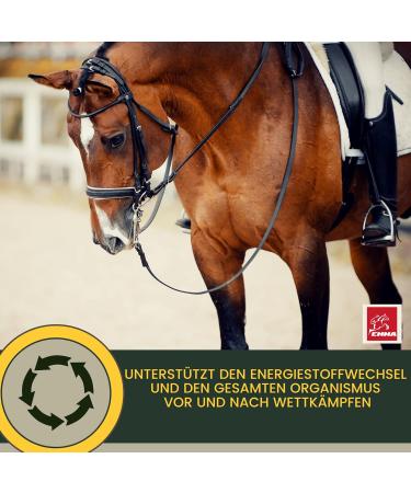Premium Vitamin Paste for Horses | Amino Acids & Energy Booster | Muscle Regeneration & Performance | 3x30ml - Buy Online on GoSupps.com